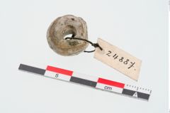 Foto von Kalksteinringperle (NHMW-PRAE-024887)